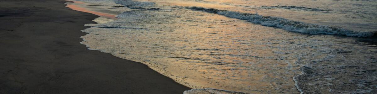 The Coast at Chincoteague National Wildlife Refuge