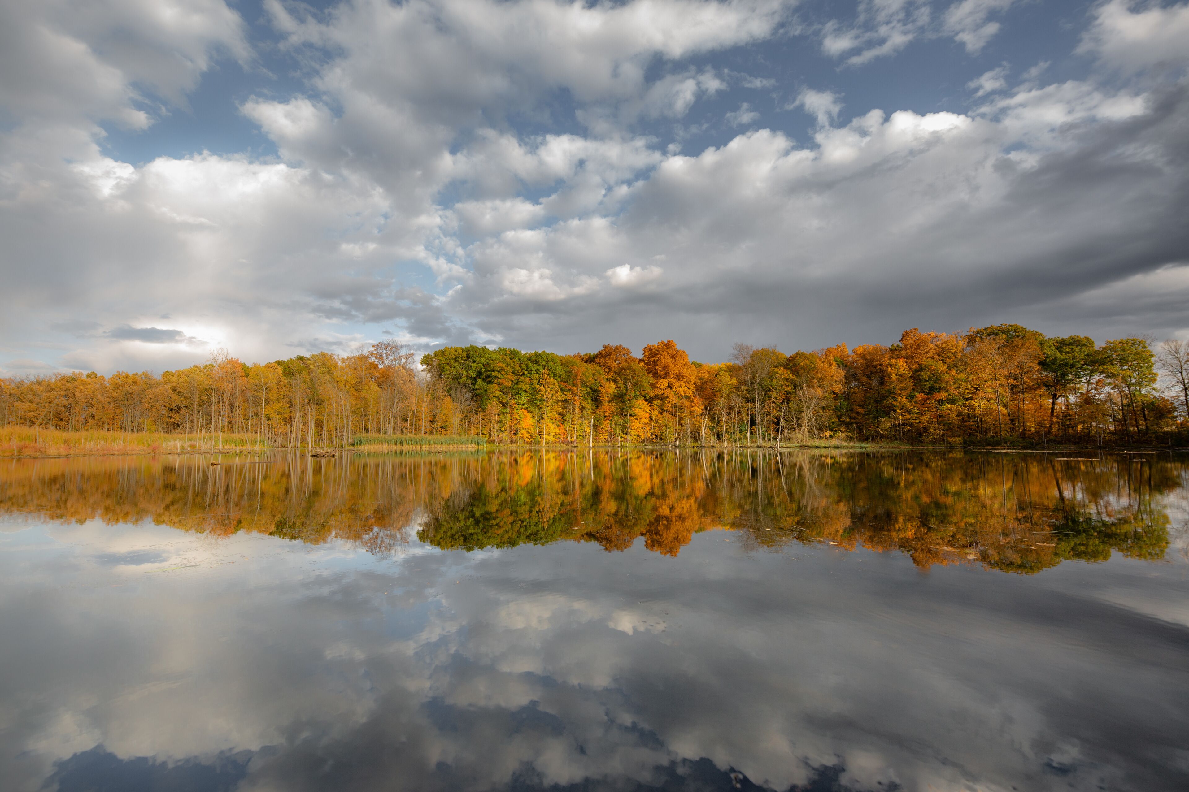 A calm lake reflecting autumn trees and a cloudy sky.