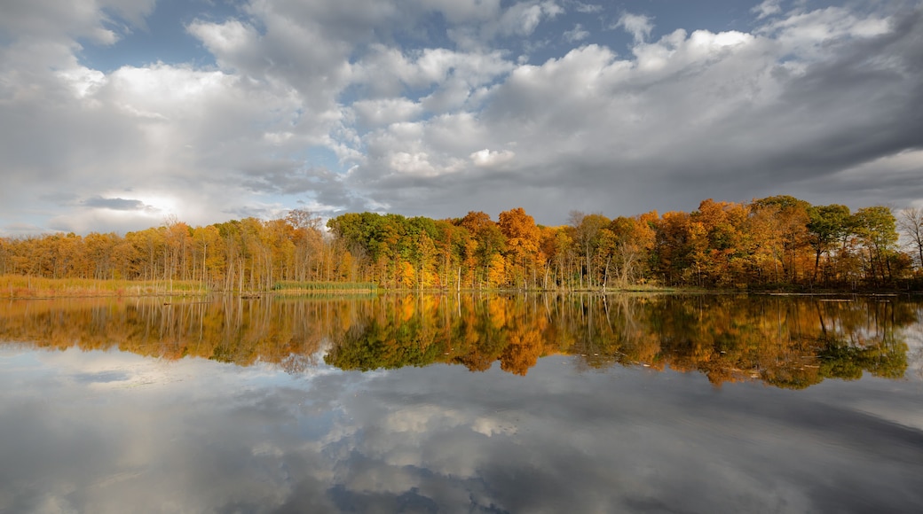 A calm lake reflecting autumn trees and a cloudy sky.
