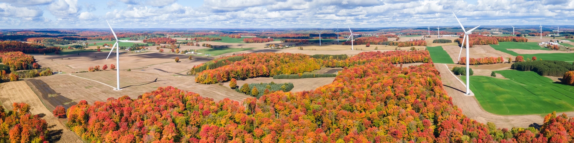 Un paysage avec des éoliennes et des arbres aux couleurs automnales.