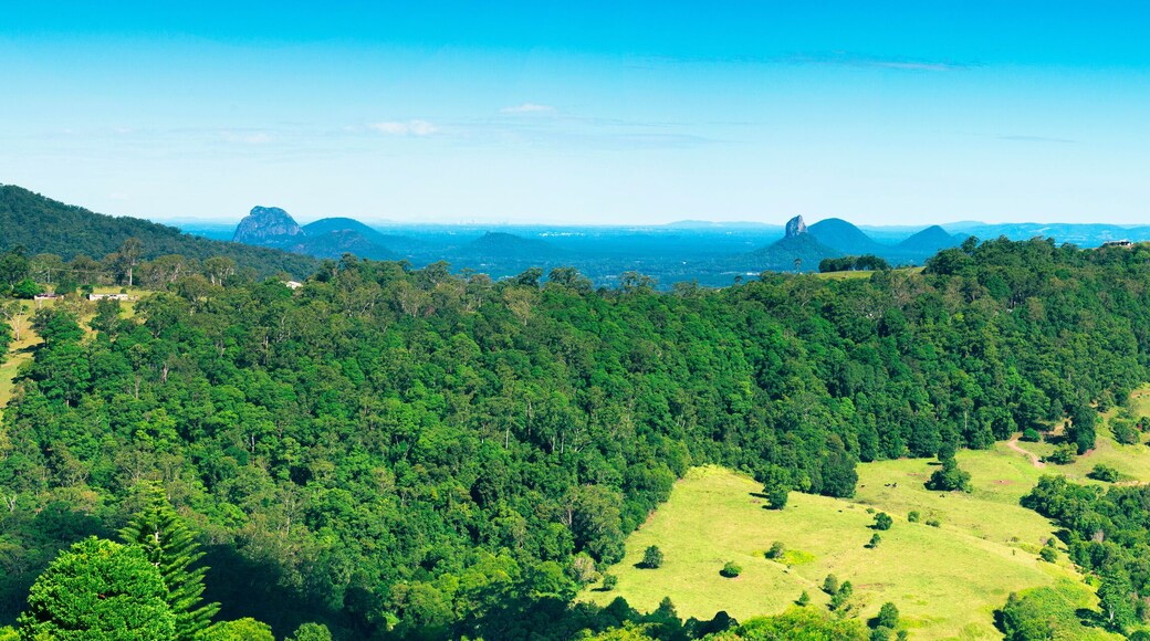 Municipalidad de Maroochy