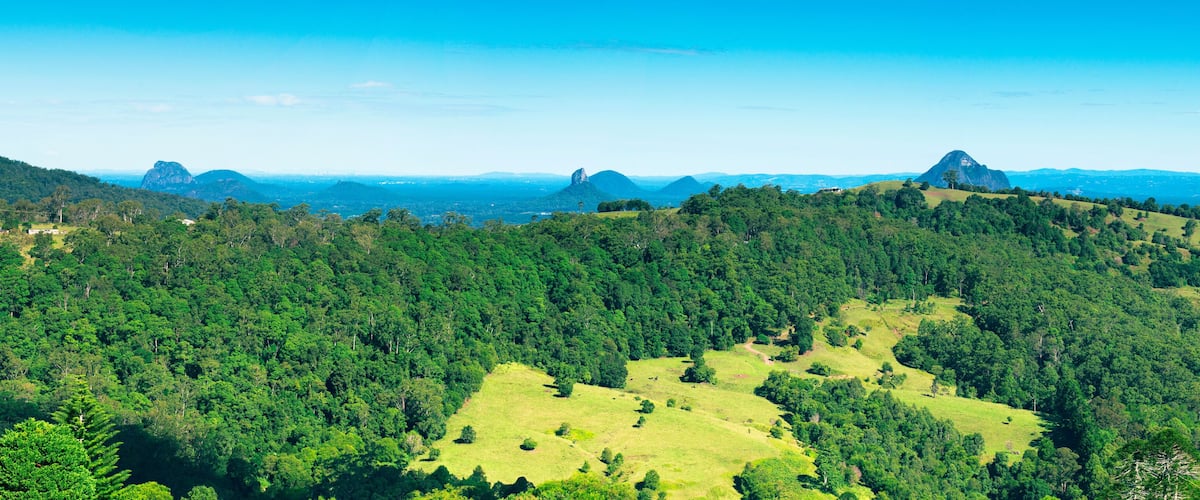 A lush green landscape with rolling hills and scattered trees.