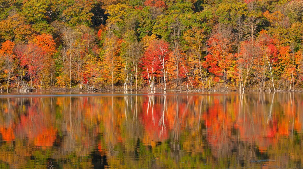 Panorama of trees in autumn color reflecting in a lake in northern Minnesota