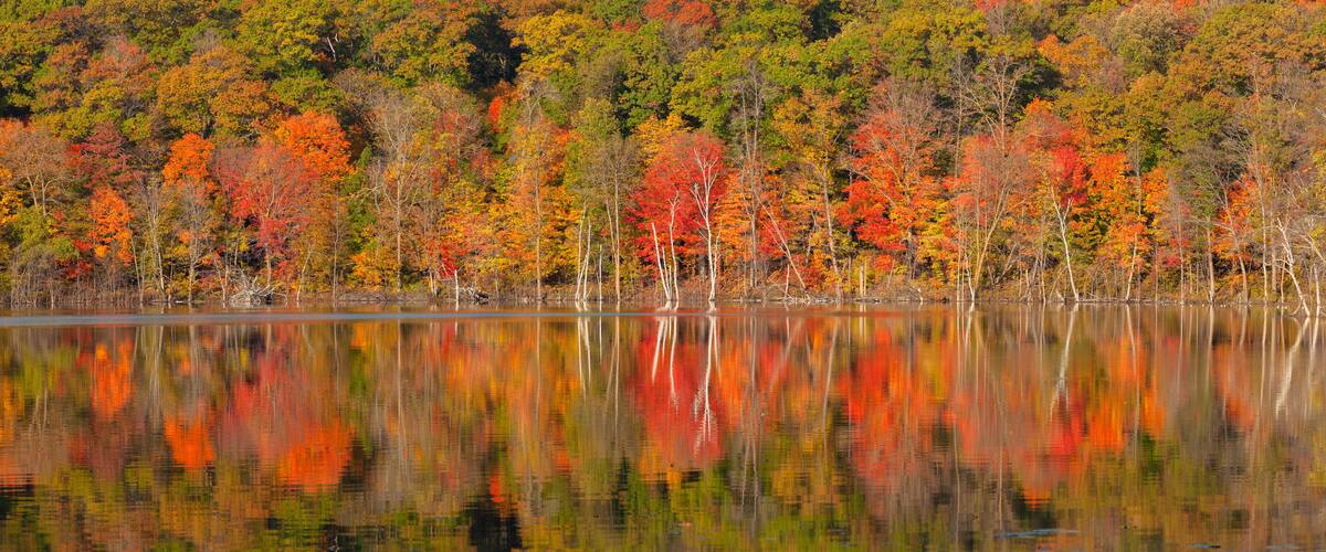 A lake reflecting autumn trees with red, orange, and green foliage.