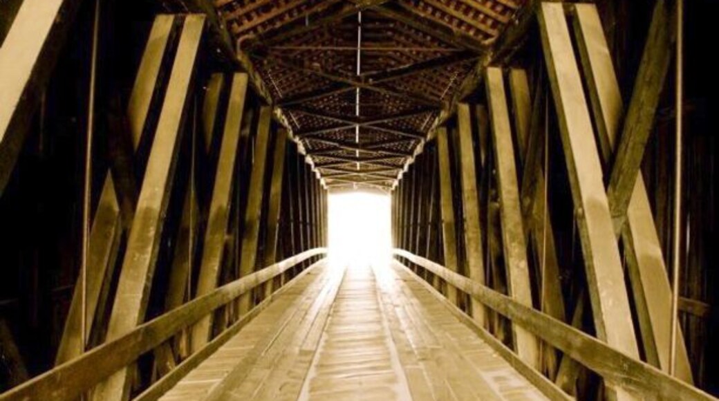 An old covered bridge in Southeast Missouri.