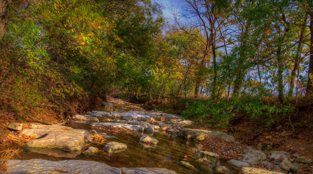 Upper Indian Creek Cape Girardeau County Missouri A rocky brook on the side of a country road. Evening sunlight brightens the top of the large rocks. Colorful trees in foliage along the bank.