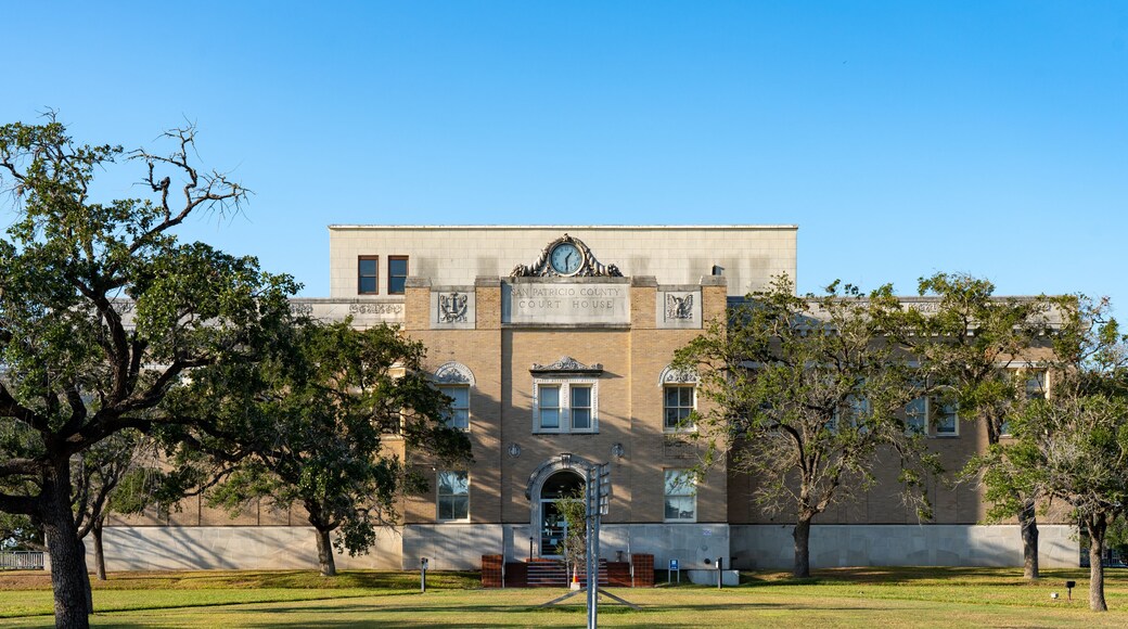 Condado de San Patricio