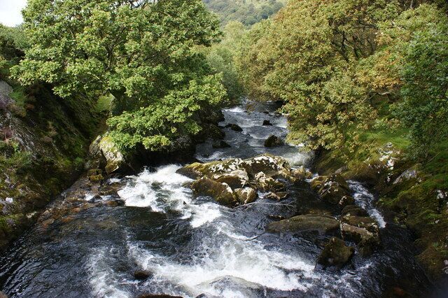 A fast-flowing river surrounded by dense green foliage.