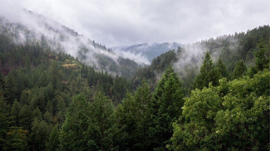 Not quite the Smokey mountains, but I’ll take it! #california #nature #wowplaces