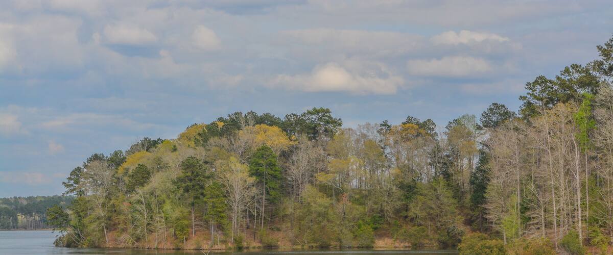 Beautiful view of Okhissa Lake Recreation Area in Homochitto National Forest, Bude, Franklin County, Mississippi