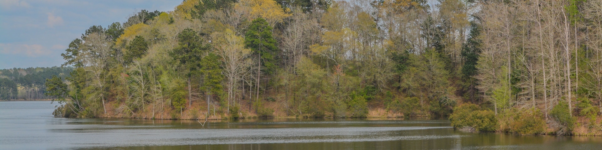 Beautiful view of Okhissa Lake Recreation Area in Homochitto National Forest, Bude, Franklin County, Mississippi