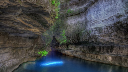 Roaring River Spring Roaring Rivers State Park Cassville Missouri Emerging from the base of a limestone bluff, and an average daily flow of 26 million gallons.