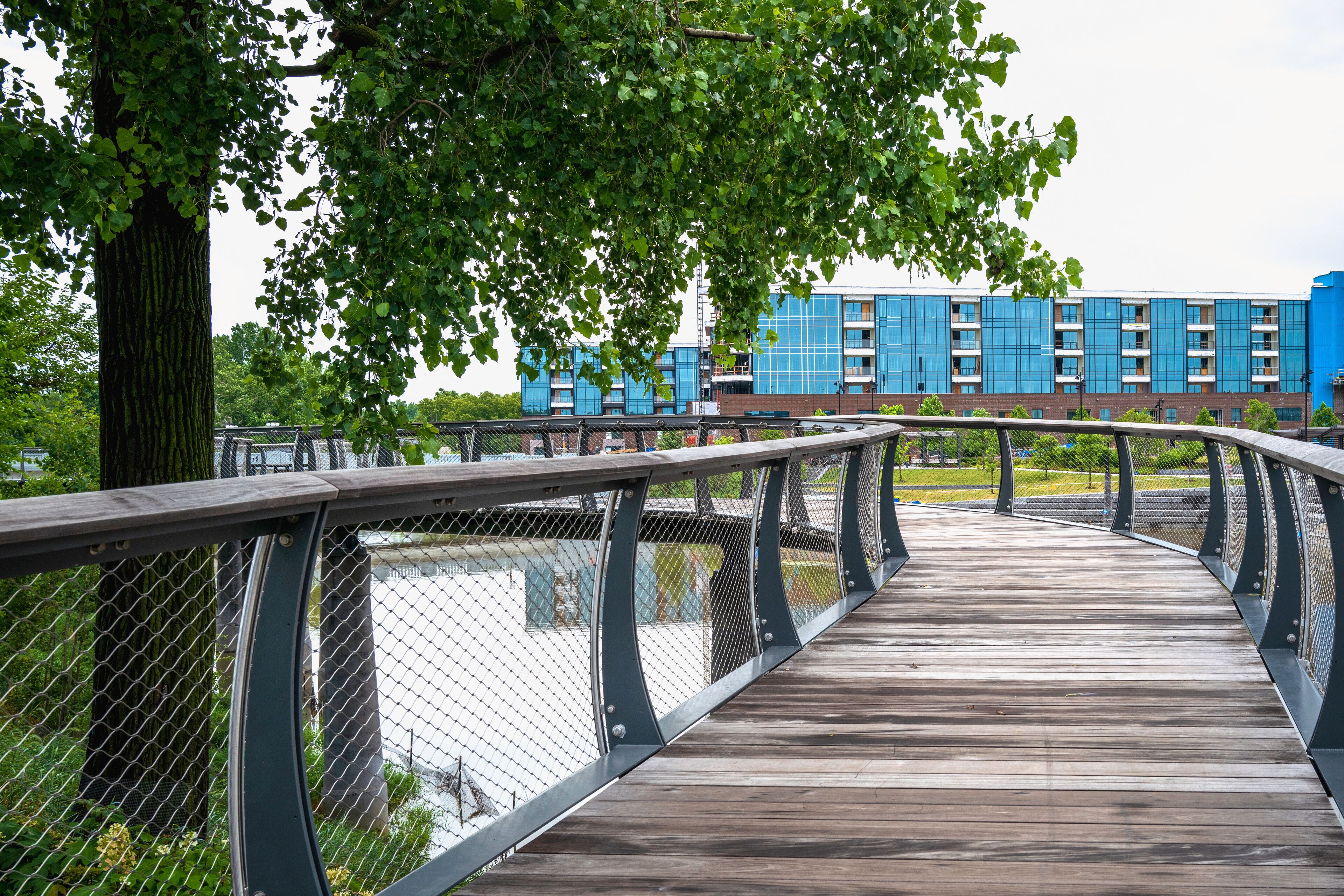 Parkview Tree Canopy Trail curving wood bridge riverfront walkways in Promenade Park over the St. Marys River, Fort Wayne, Allen County, Indiana