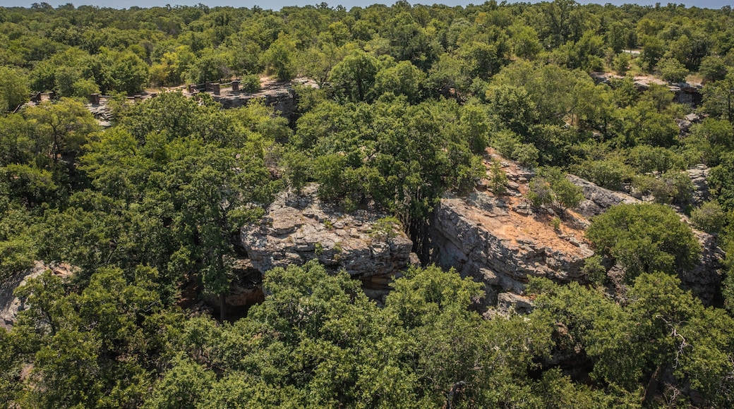 A dense forest with rocky outcrops and a clear sky.