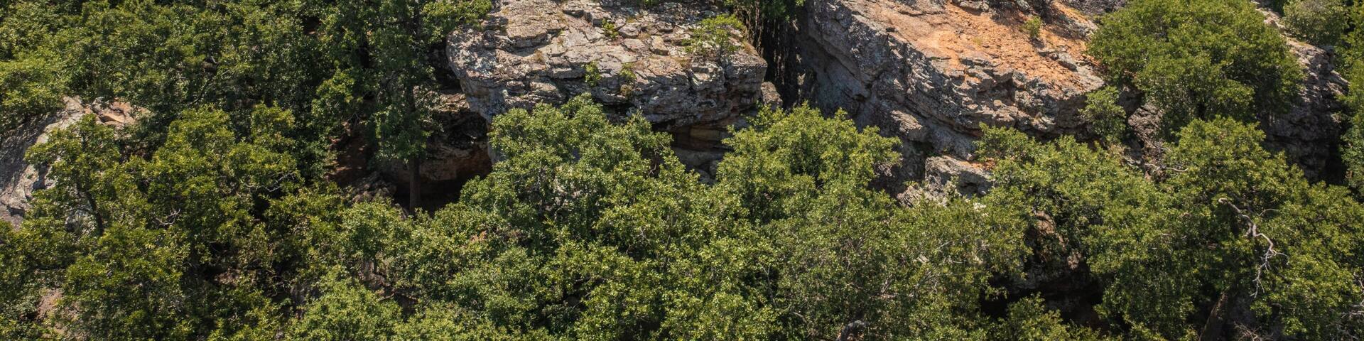 A dense forest with rocky outcrops and a clear sky.