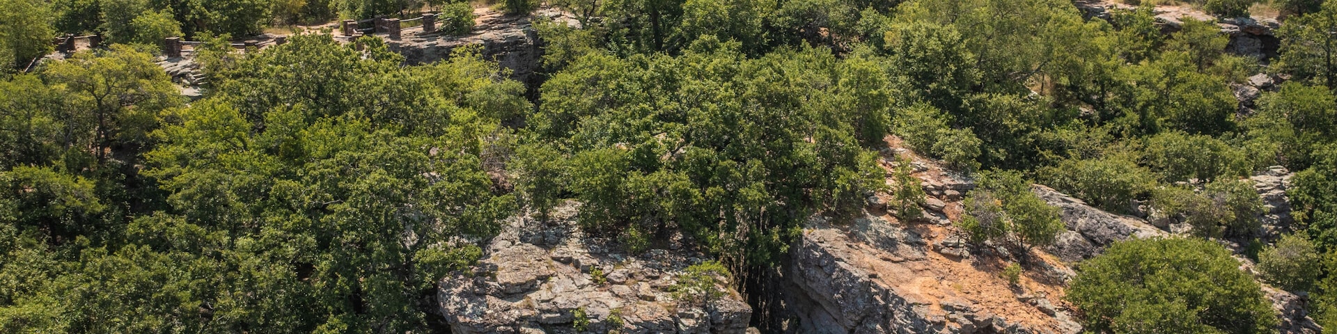 Uma floresta densa com afloramentos rochosos e um céu claro.