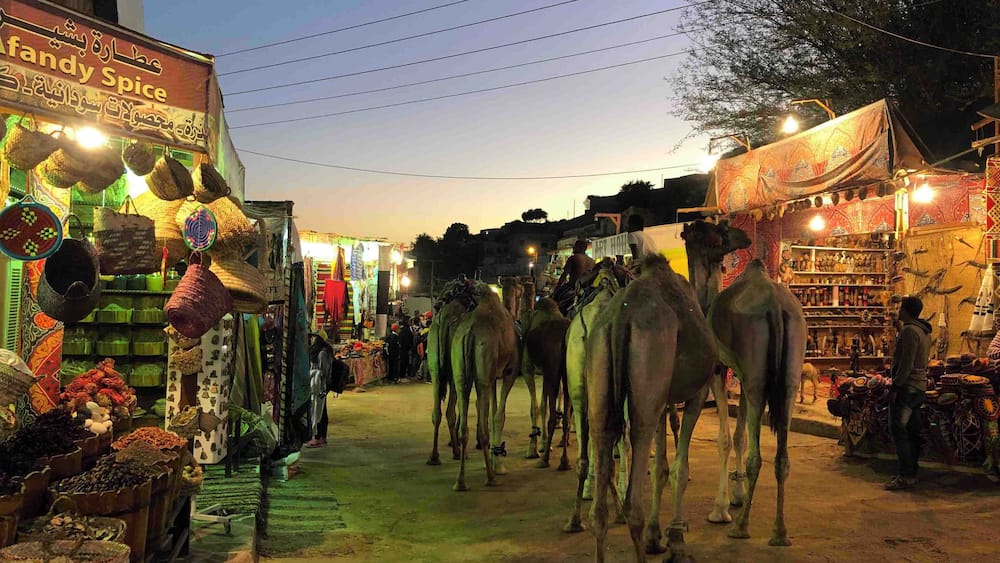 Nubian village night scene