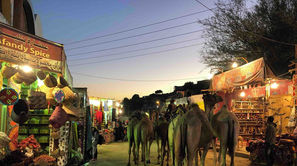 Nubian village night scene