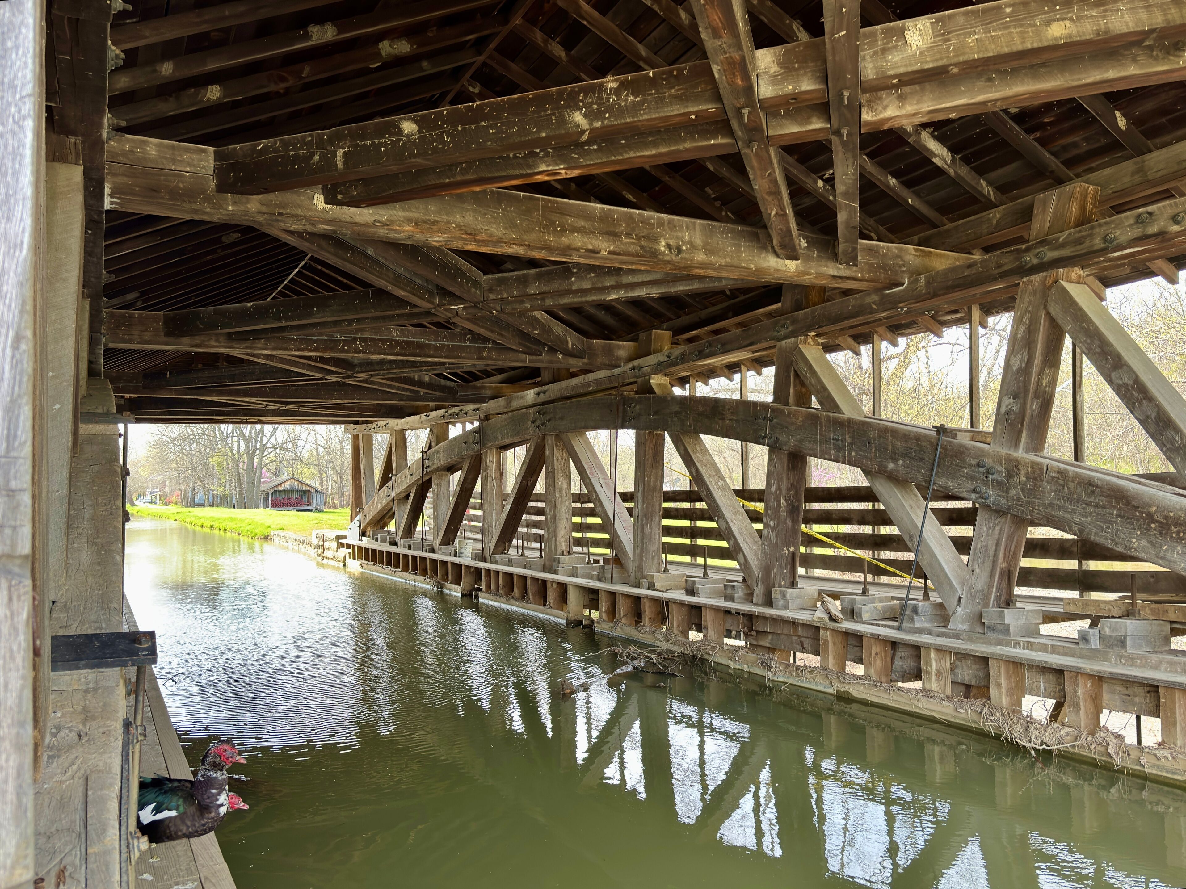 เมตาโมรา