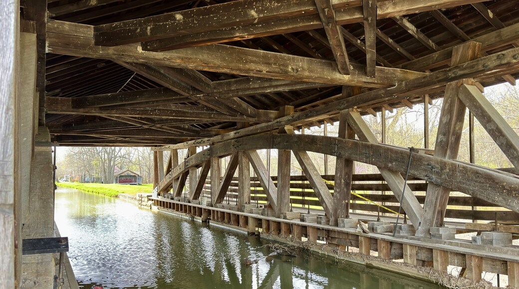 เมตาโมรา