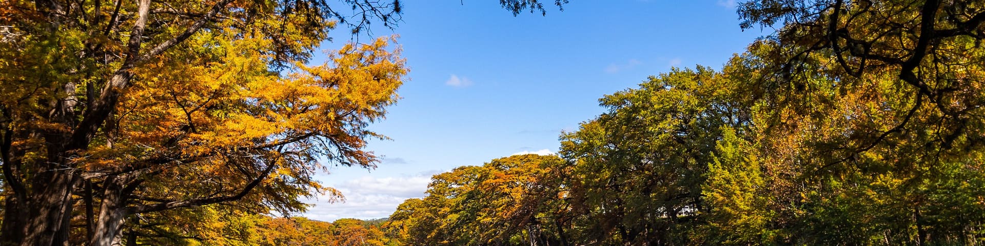 A person standing by a calm river surrounded by trees with autumn foliage.