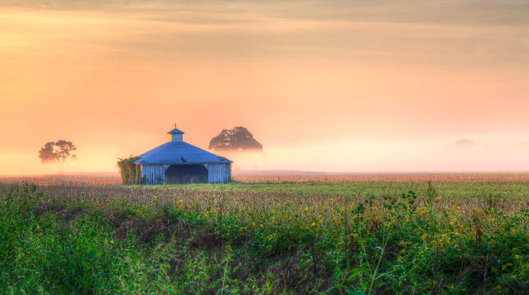 Barn between the trees Highway 94 in Warren County at dawn, the colorful sunlight dances on the low lying fog.