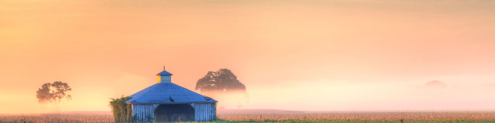 Barn between the trees Highway 94 in Warren County at dawn, the colorful sunlight dances on the low lying fog.