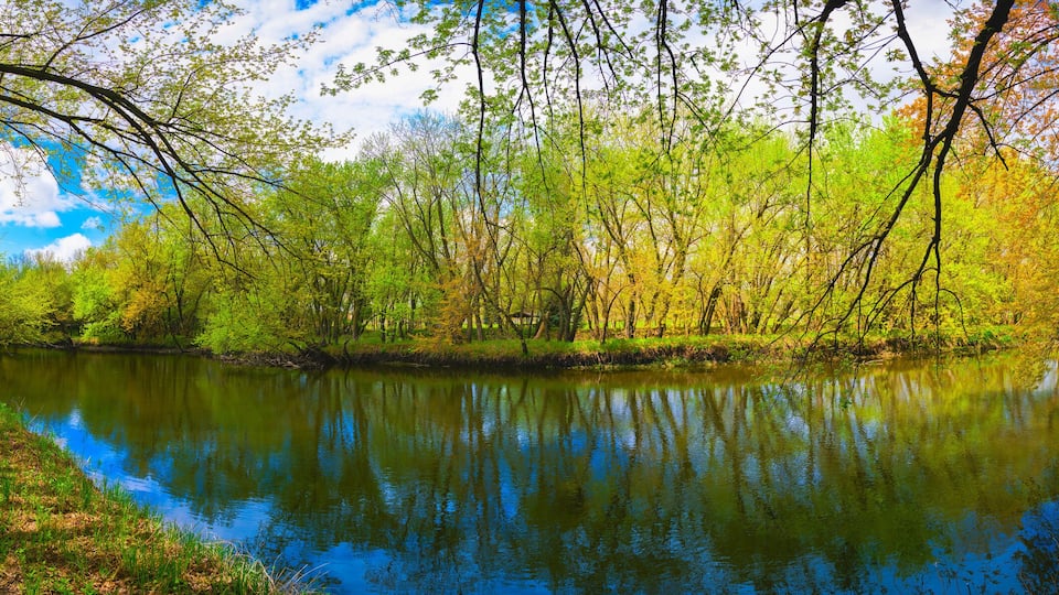 A serene river path surrounded by lush greenery and trees reflecting in the calm water.