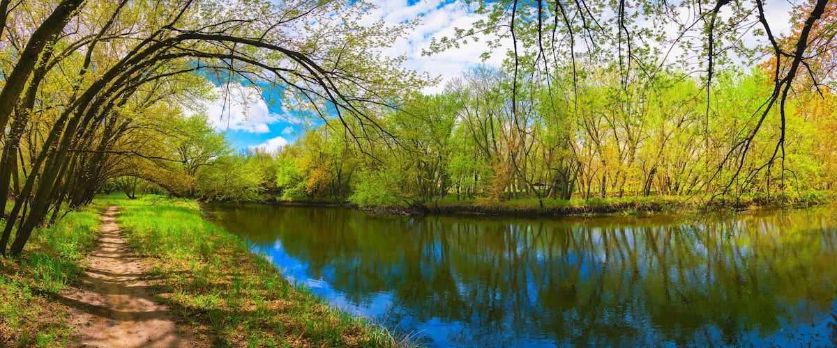A serene river path surrounded by lush greenery and trees reflecting in the calm water.