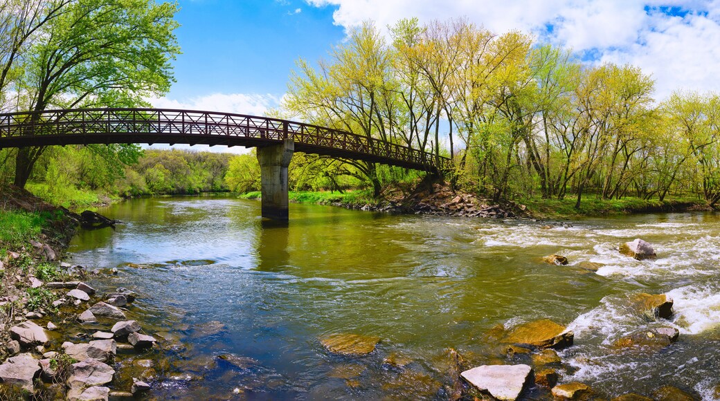 Condado de Brookings