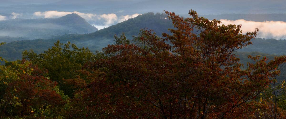 View of the fog covered valley below. Taken from the top of Morrow Mountain State Part NC