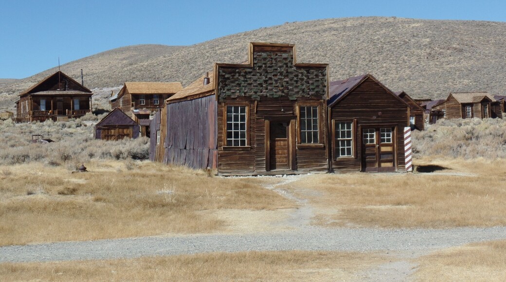 Bodie State Historic Site is a great place to check out a ghost town. More than 8000 people lived here during the gold rush. Today only 5% of the buildings are standing. Fun location to learn some history about life during this part of American history.