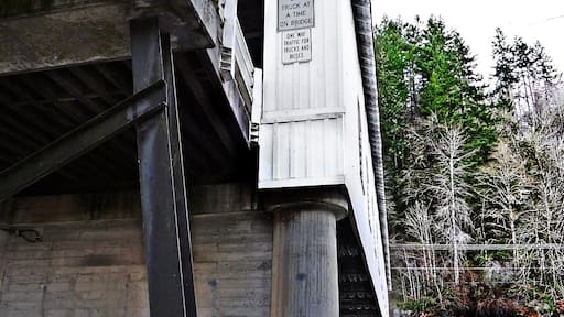 Detail, base of pylon, south bank.