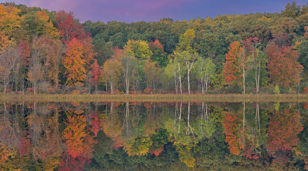 Un lac paisible oĂč se reflĂštent les arbres aux couleurs vives de lâautomne, avec une forĂȘt dense en arriĂšre-plan.