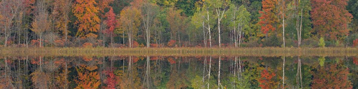 A calm lake reflecting colorful autumn trees and a dense forest in the background.