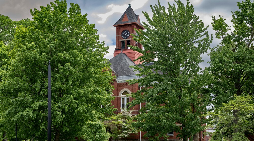 Barry County Courthouse in Hastings, Michigan with green trees and blue sky