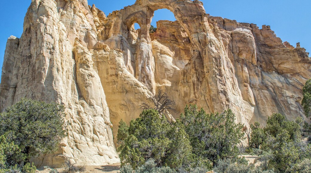 Located within the Grand Staircase National Monument, Grosvenor Arch is a unique sandstone double arch named for a former president of the National Geographic Society. It can only be accessed via Road 400, which is a long dirt road that is often impassable, particularly during rainy weather. Luckily for us it had been dry for several days prior to our visit, but the road is poorly maintained and I wouldn't recommend it unless you have a 4WD vehicle. #utah #grandstaircase #grosvenorarch