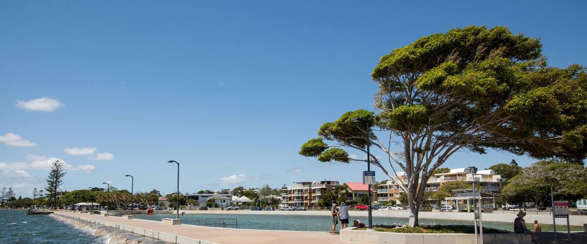 A waterfront promenade with a stone seawall, trees, and buildings in the background.