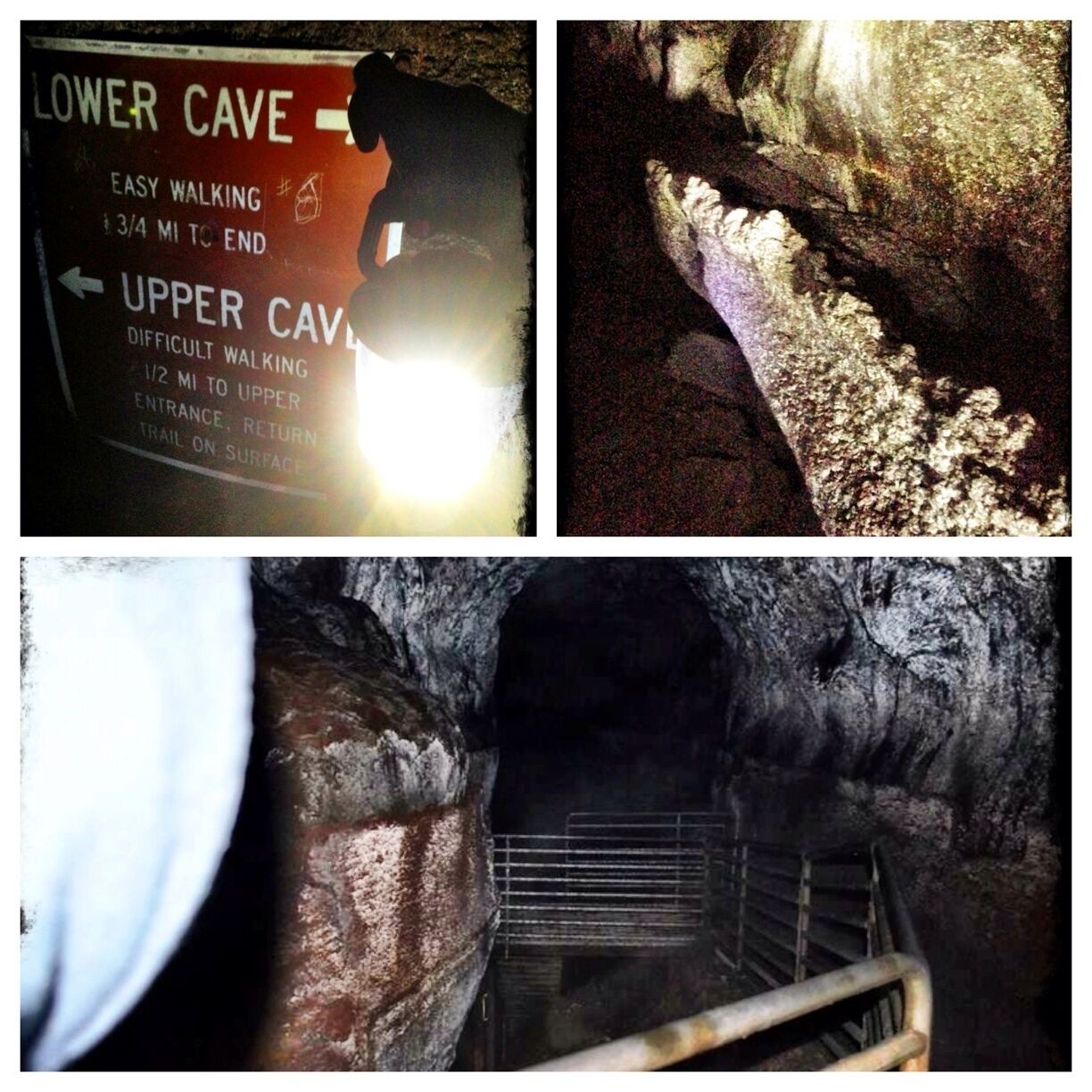 The Ape Caves are the longest continuos lava tube in the continental US at 2.5 miles long. Be prepared and bring a flashlight (headlights are best) full of batteries! And dress warm, it's usually a cool 42 degrees w water dripping from the ceiling. 