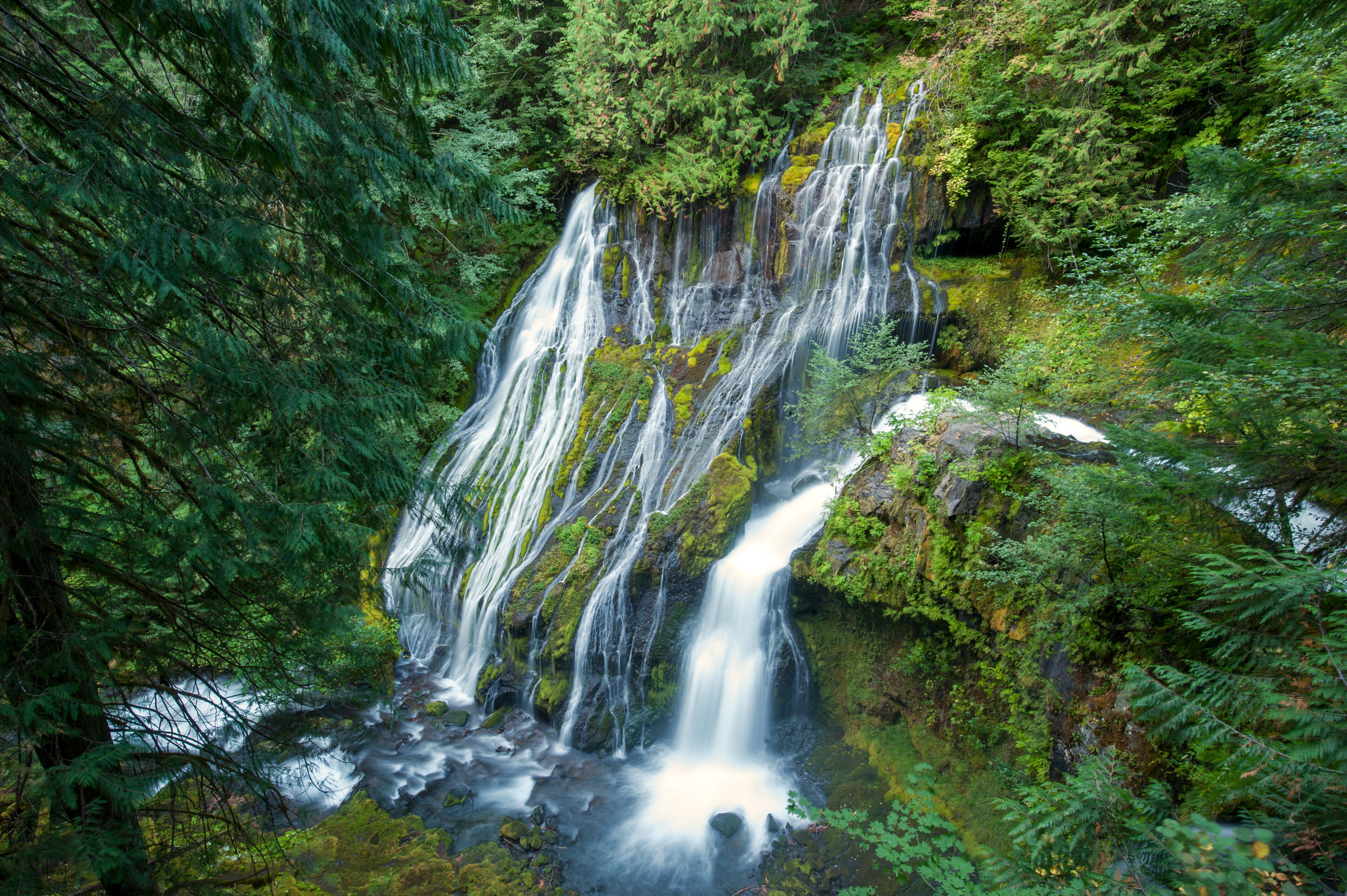 A multi-tiered waterfall surrounded by dense green forest.