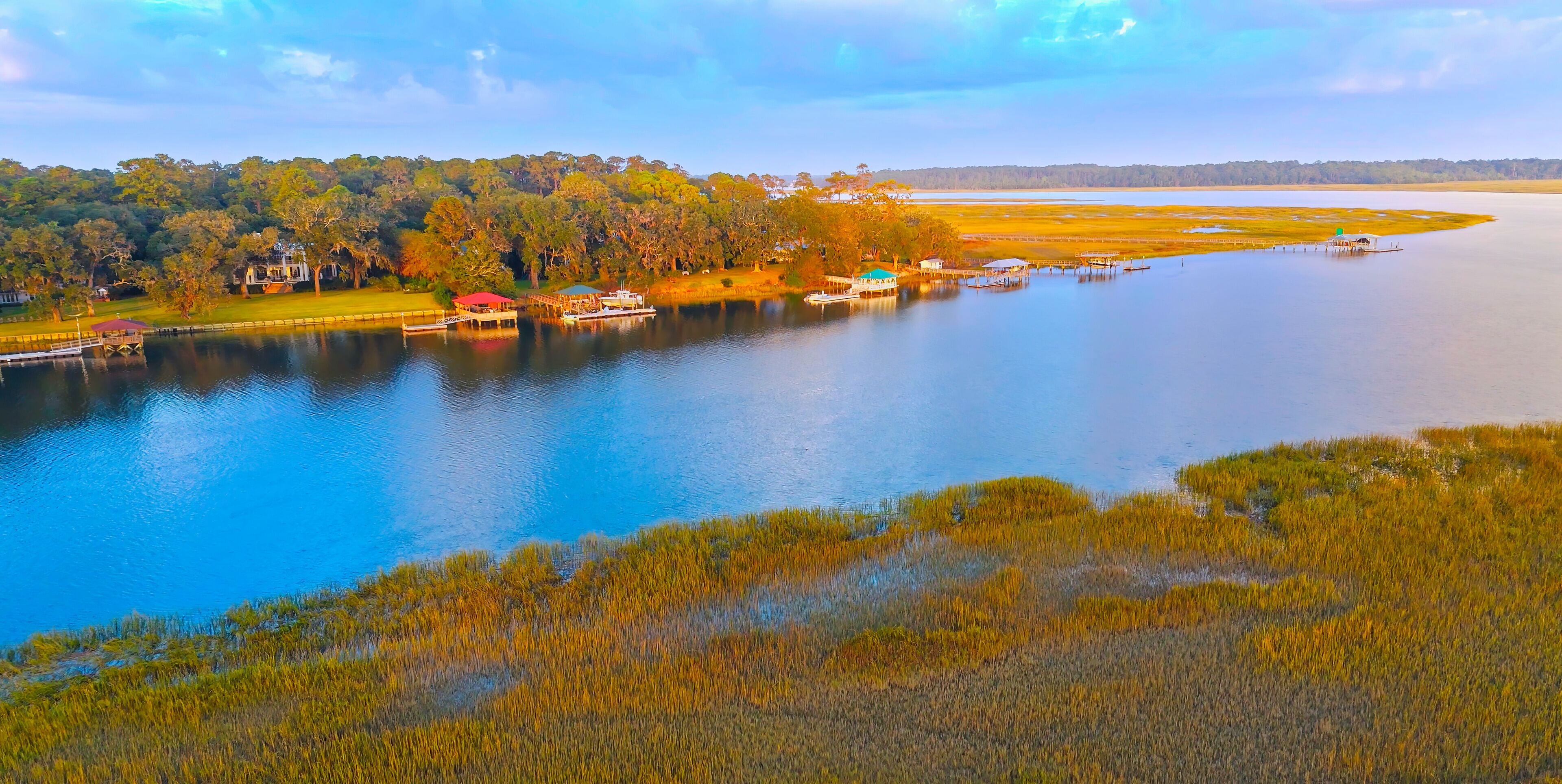 วินด์เซอร์ ฟอเรสต์