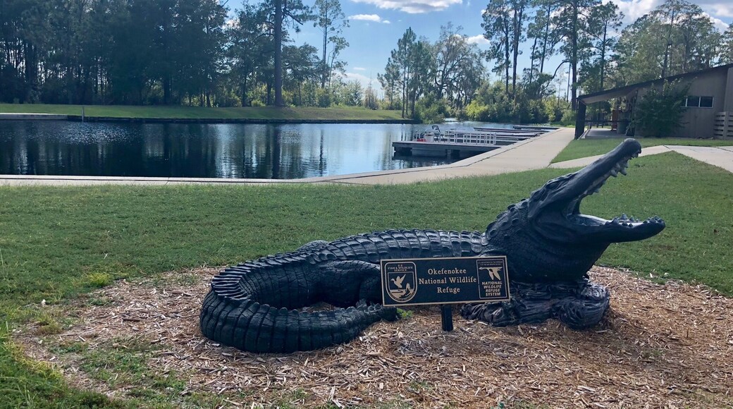 This would be the only alligator we would see today in this beautiful wildlife refuge.