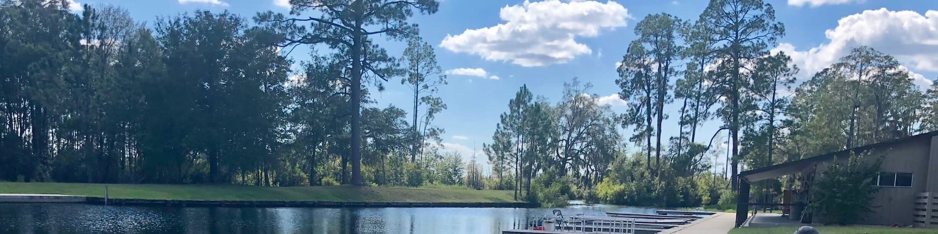 A large alligator statue at the Okefenokee National Wildlife Refuge.