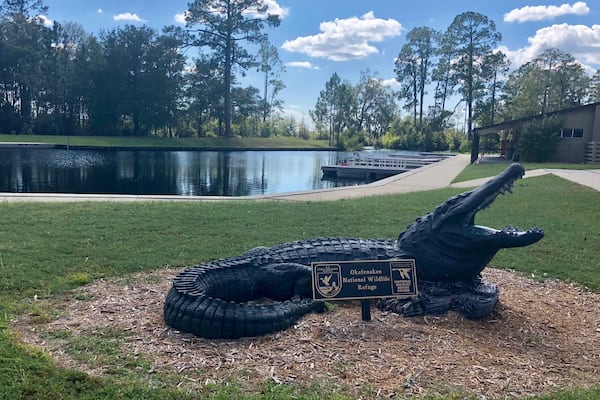 Une grande statue d’alligator se trouve dans le refuge national de la faune d’Okefenokee.