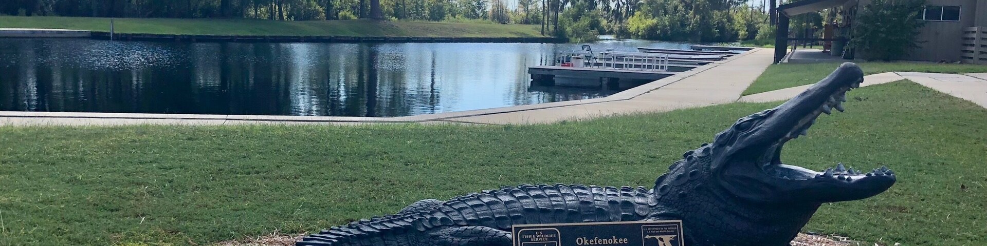 This would be the only alligator we would see today in this beautiful wildlife refuge.