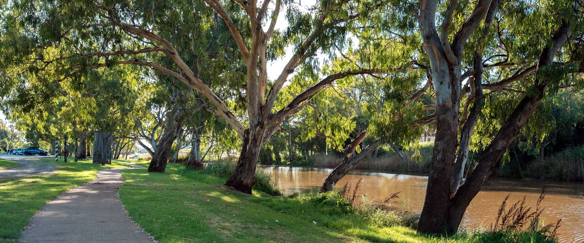 A paved path alongside a river with trees and grassy banks.