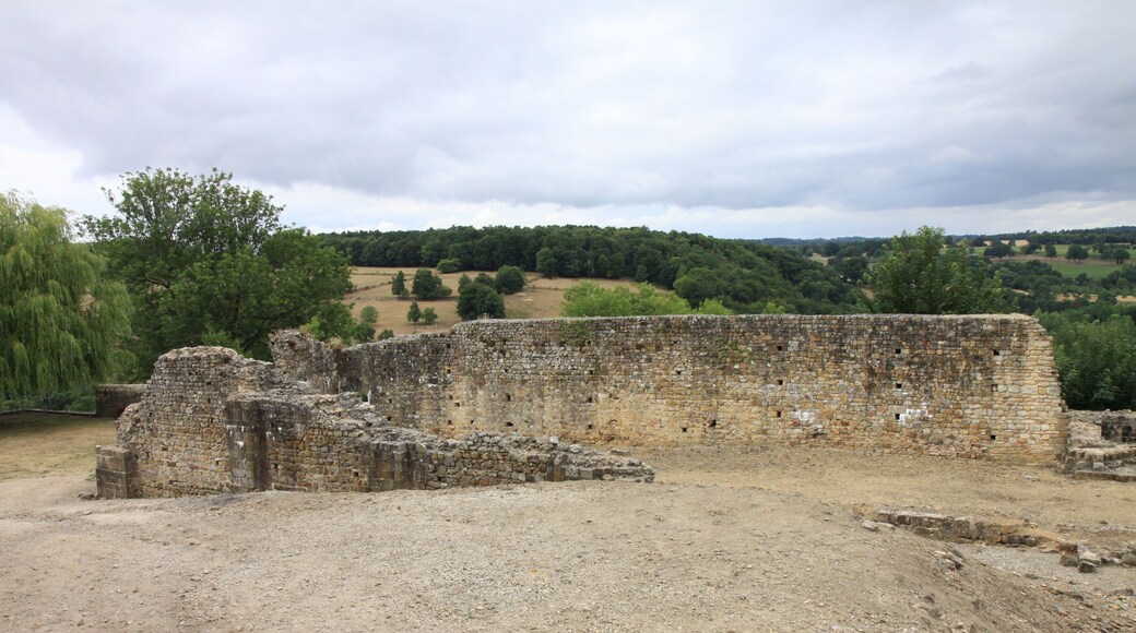 Vestiges du chùteau de Domfront, détruit sur ordre de Sully en 1608.