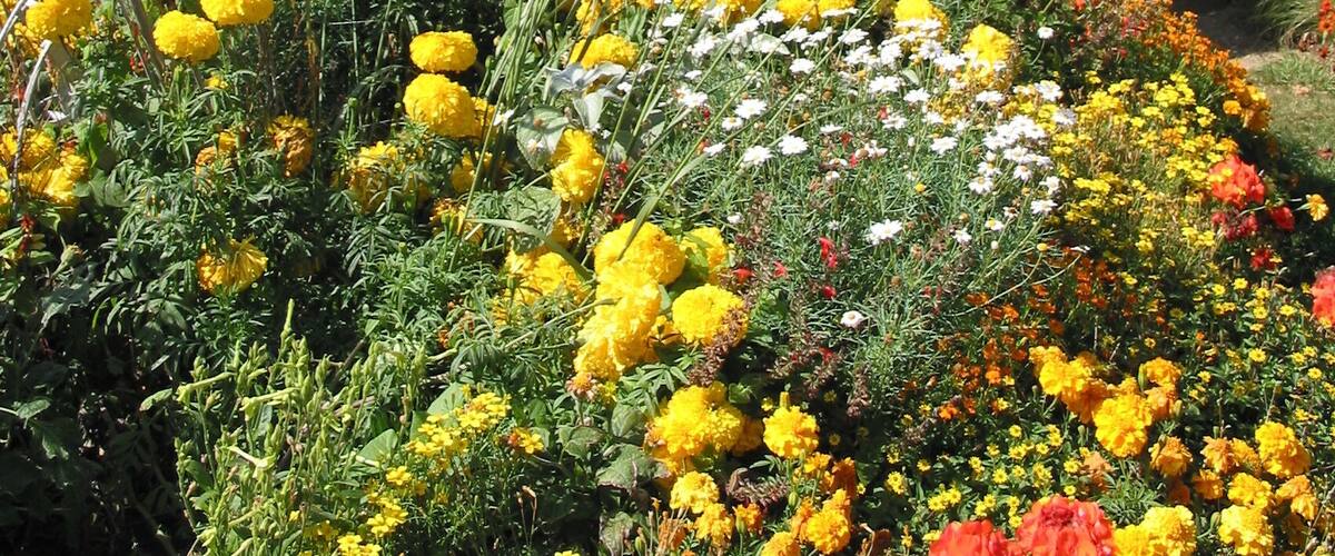 This building is indexed in the Base Mérimée, a database of architectural heritage maintained by the French Ministry of Culture, under the reference PA00110791 .