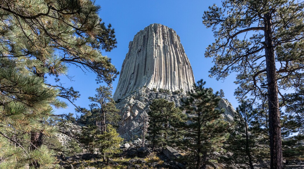 Devil's Tower National Monument, a rare form of igneous rock, rises out of the Wyoming landscape, USA.