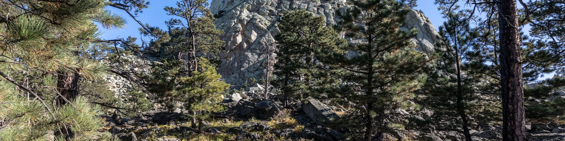 Devil's Tower National Monument, a rare form of igneous rock, rises out of the Wyoming landscape, USA.